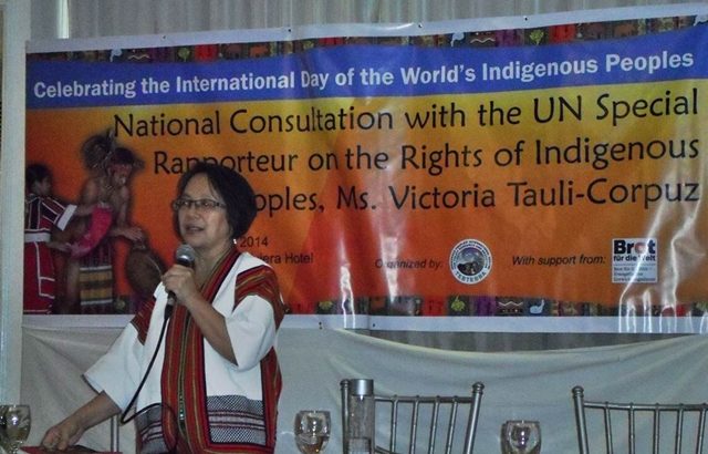 Indigenous peoples submit cases of rights abuses to UN official