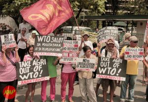 junk-wto