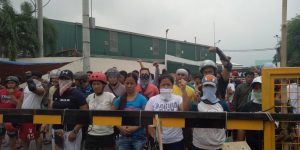 Nutrisia picket