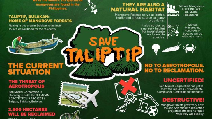 Lab Notes | Mangroves 101: Why we need to #SaveTaliptip