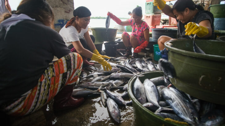 The unseen women fisherfolk of Zambales