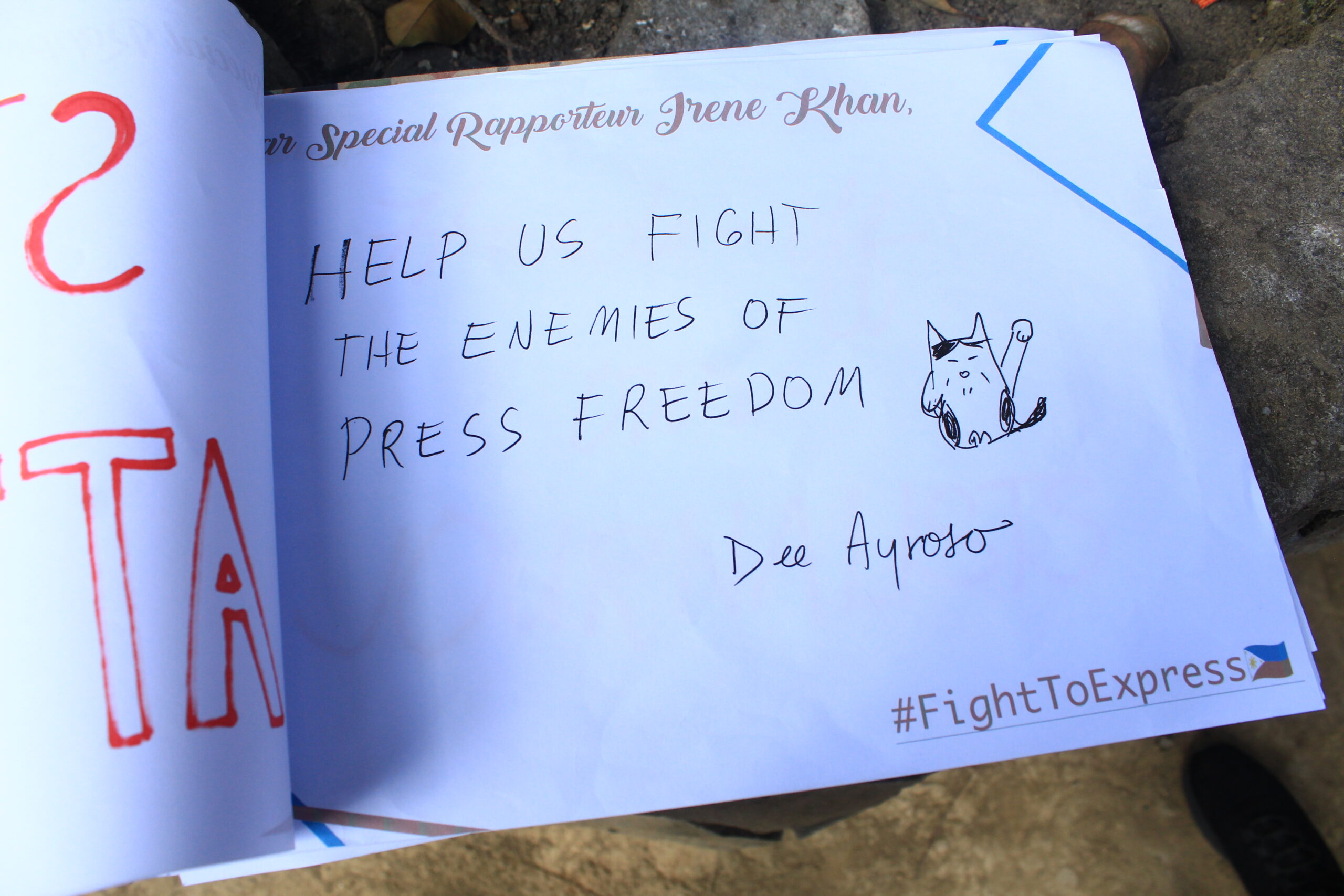 fight to express-dear irene khan-photo by kathlen
