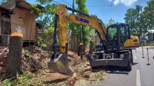 Backhoe cuts trees