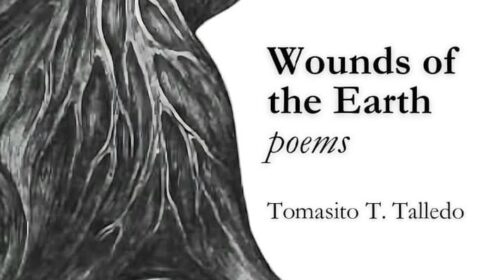 Wounds of the Earth