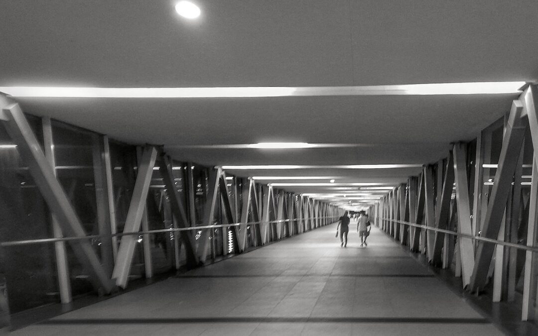 Light
