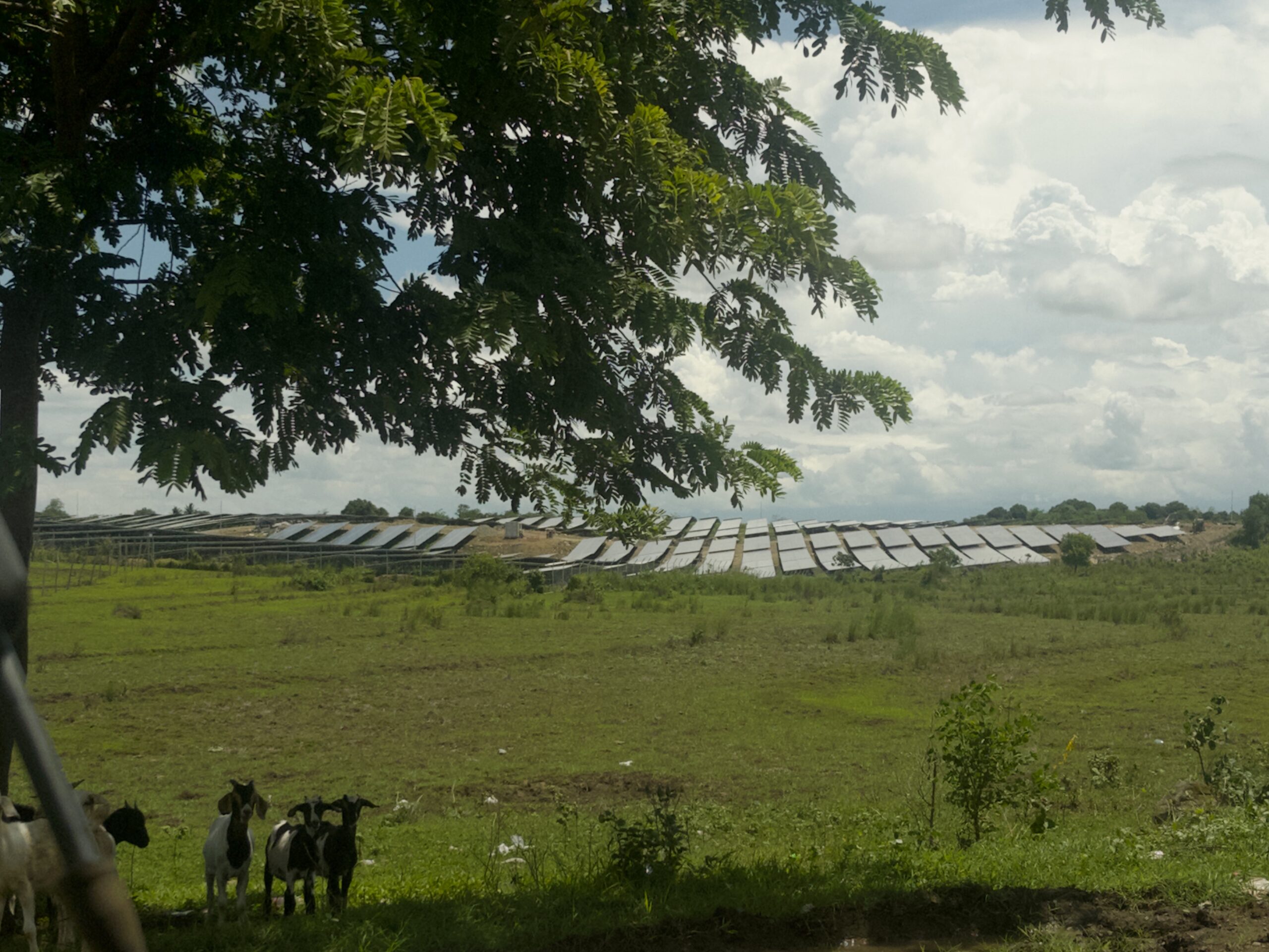 MTerra Solar Project
